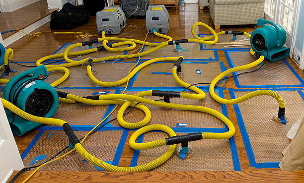 Professional Flood Damage Restoration technician working in Jermyn, PA